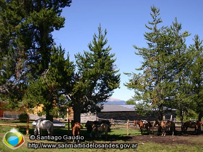 Foto Cabalgatas (Santiago Gaudio)