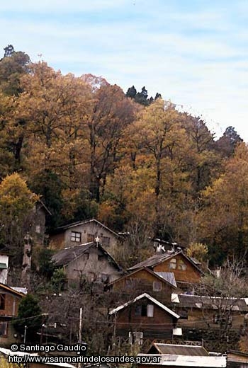 Foto Otoño (Santiago Gaudio)