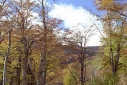 Foto Arroyo otoñal (Santiago Gaudio)