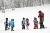 Picture Jardín de nieve (Cerro Chapelco)