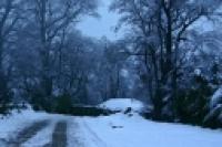 Foto Senda invernal (San Martín de los Andes)