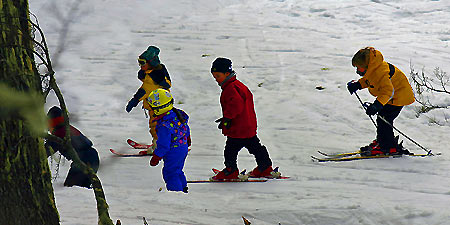 Jardín de nieve